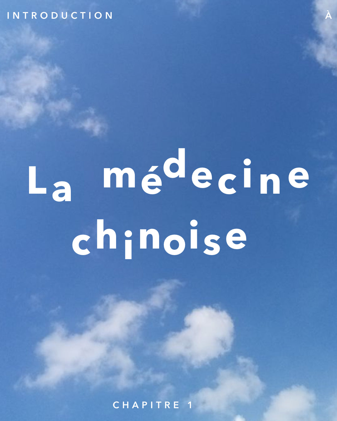 Pot De Médecine Chinoise électrique Automatique De 3 à 5 L, Pot