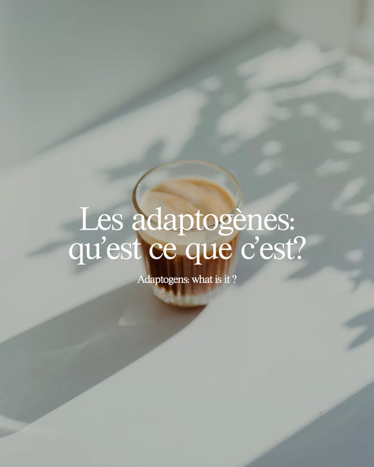 Les adaptogènes: qu'est-ce que c'est?